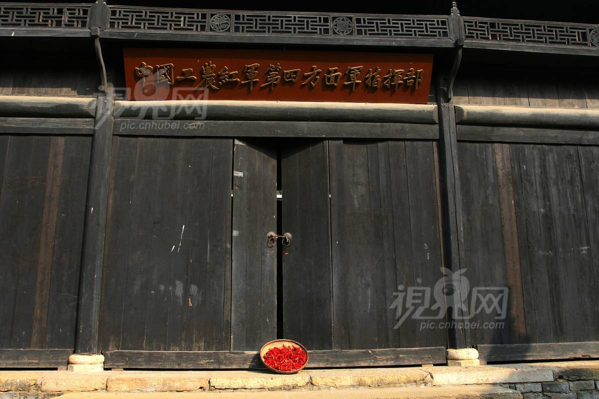 249505