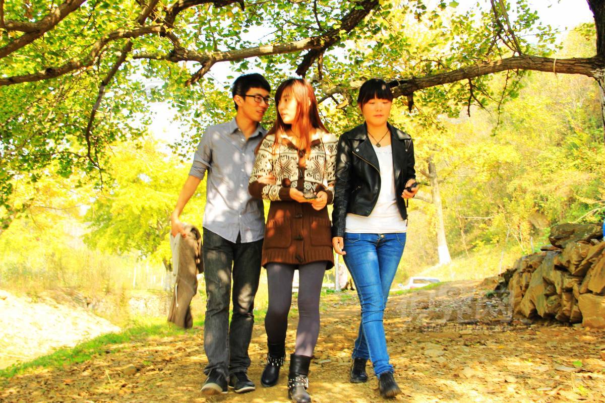 250463