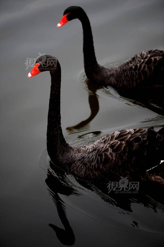 250659