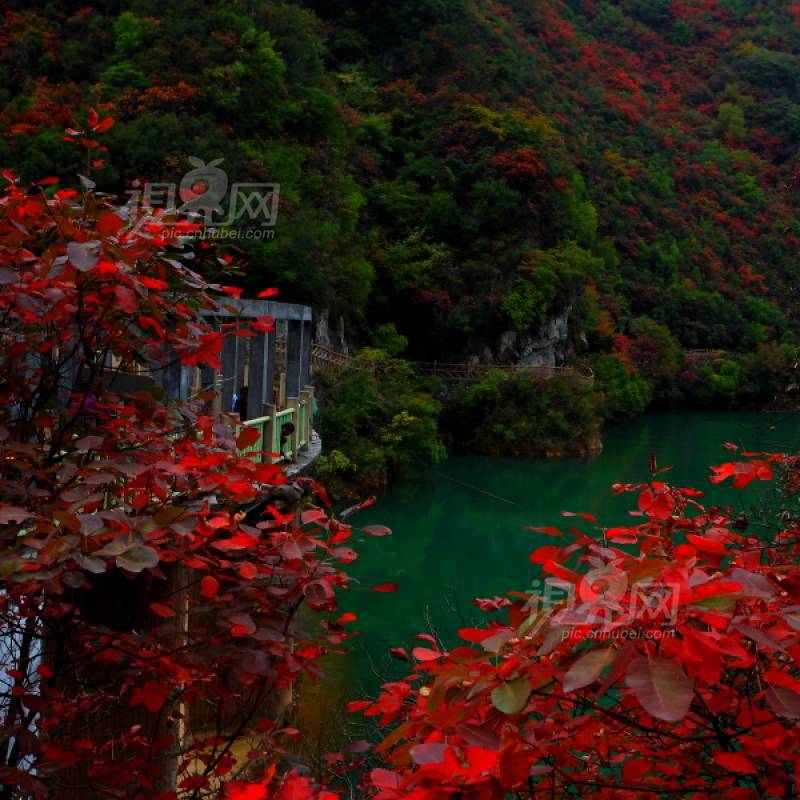 250944