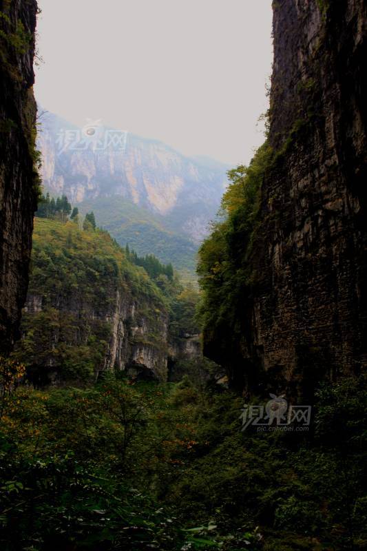 251269