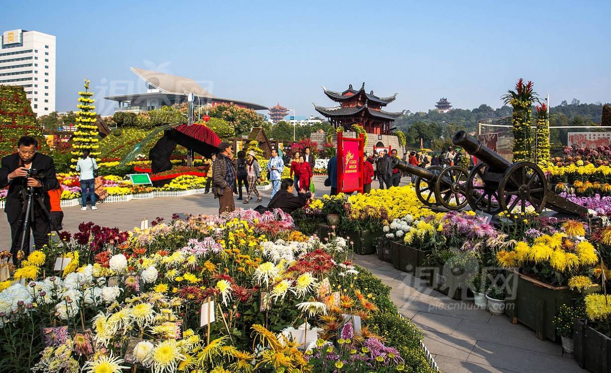 252309