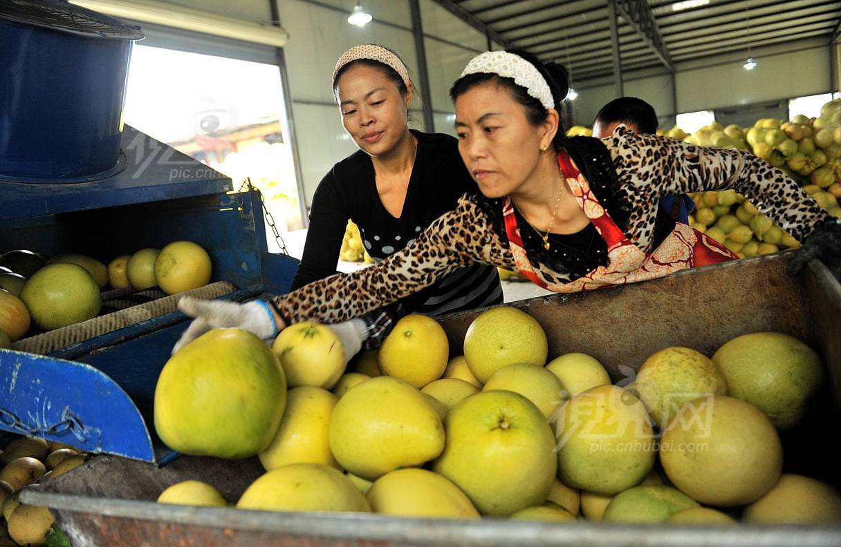 252530