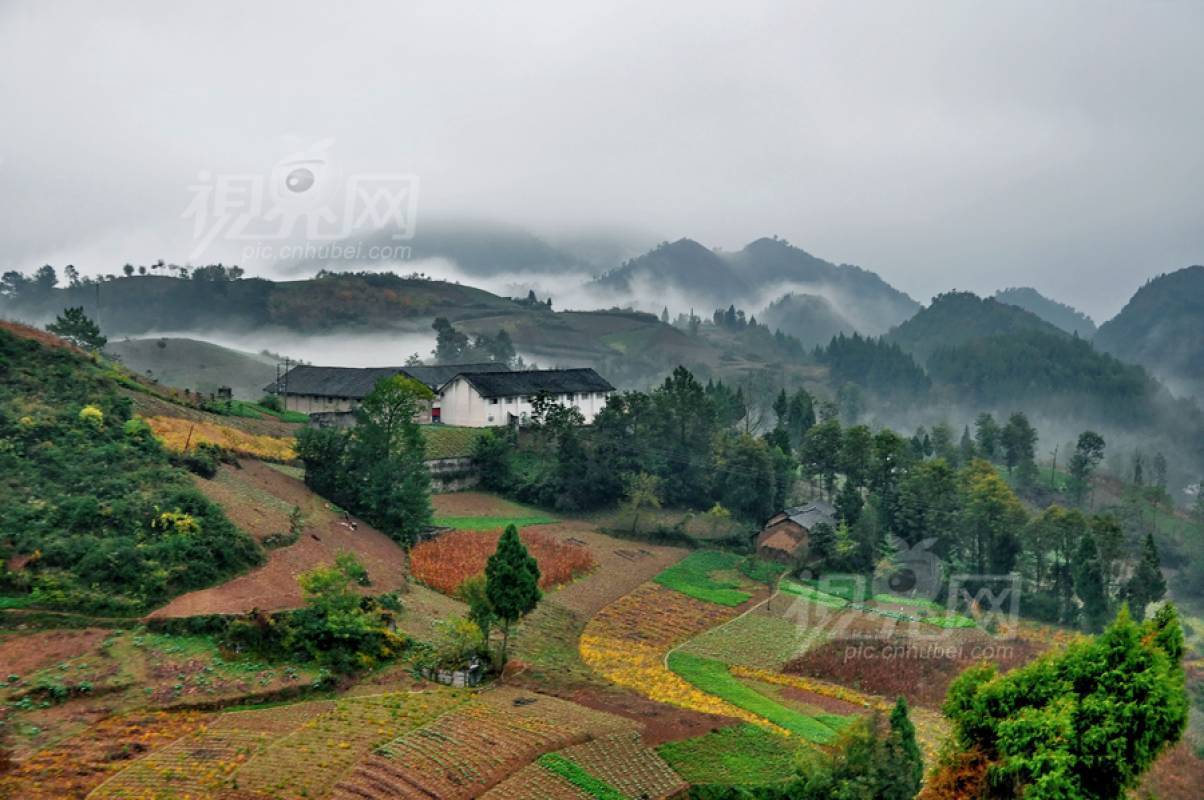 253184