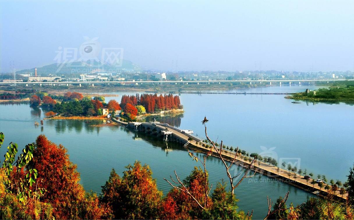 253229
