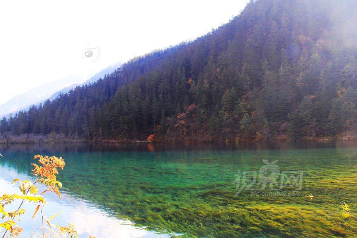 253268