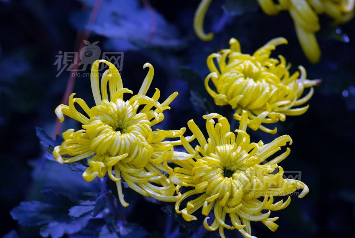 253414