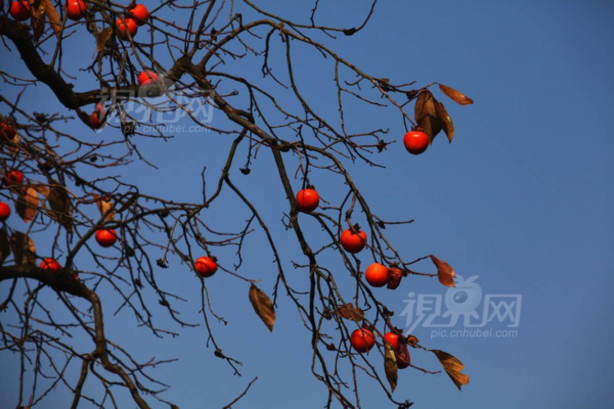 254490