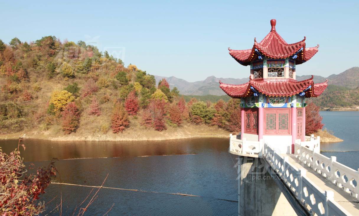 255492