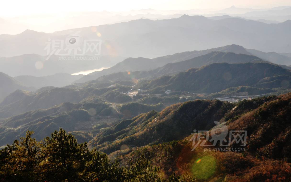 256966