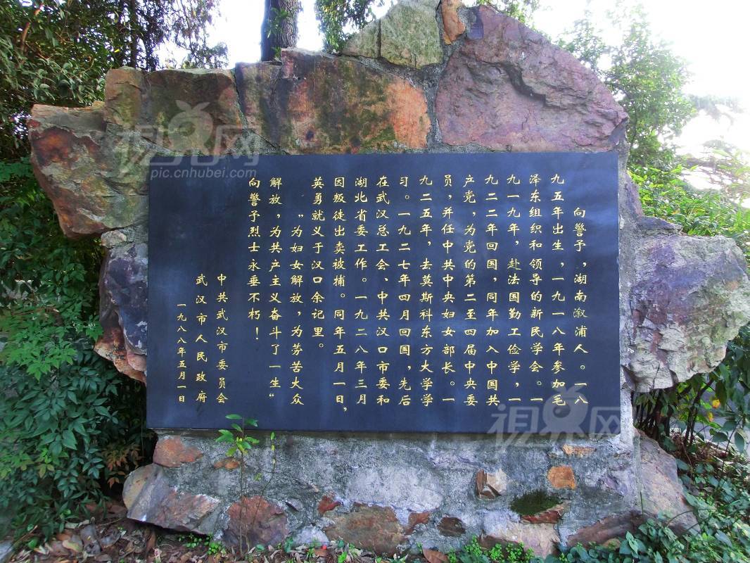 258085