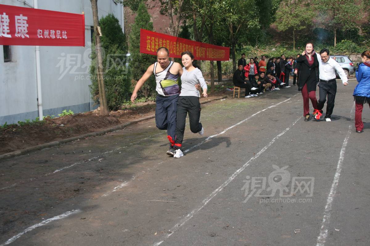 259633