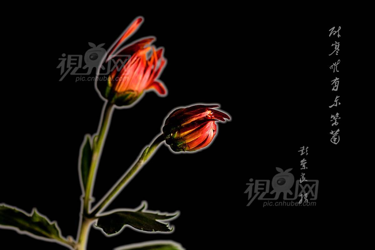 260410