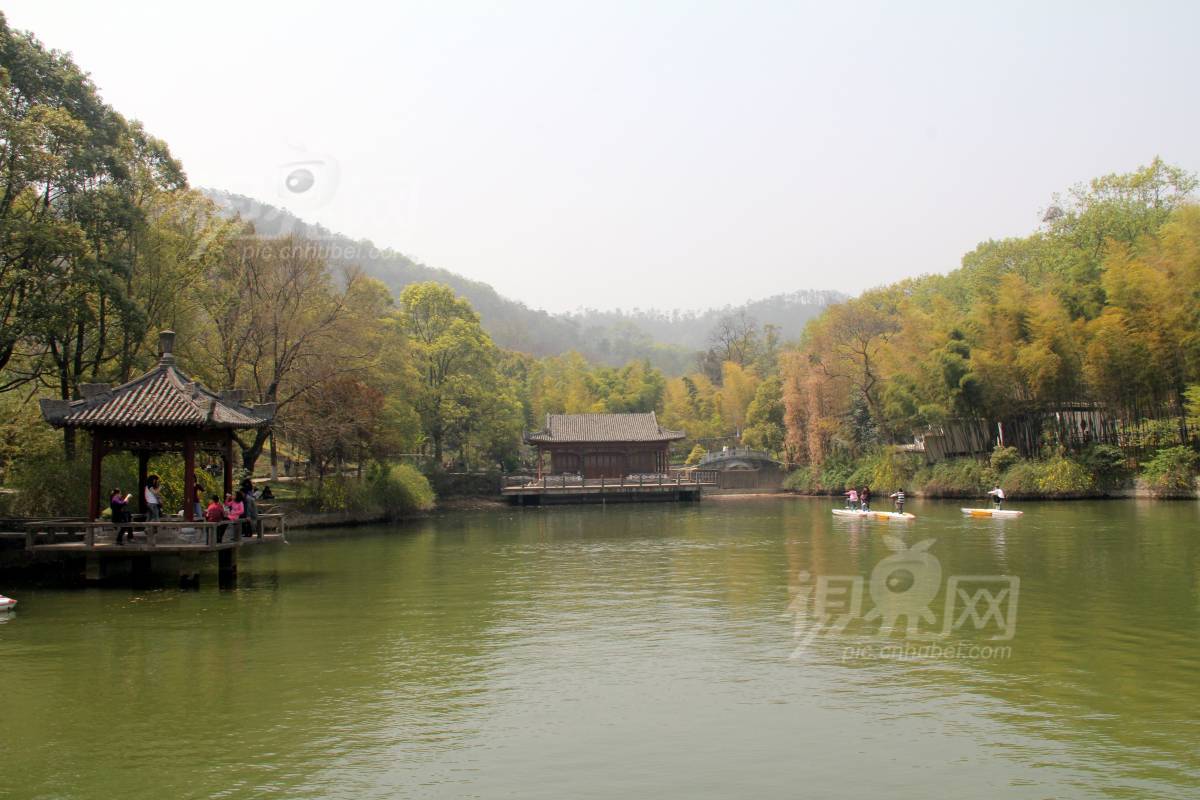 261291