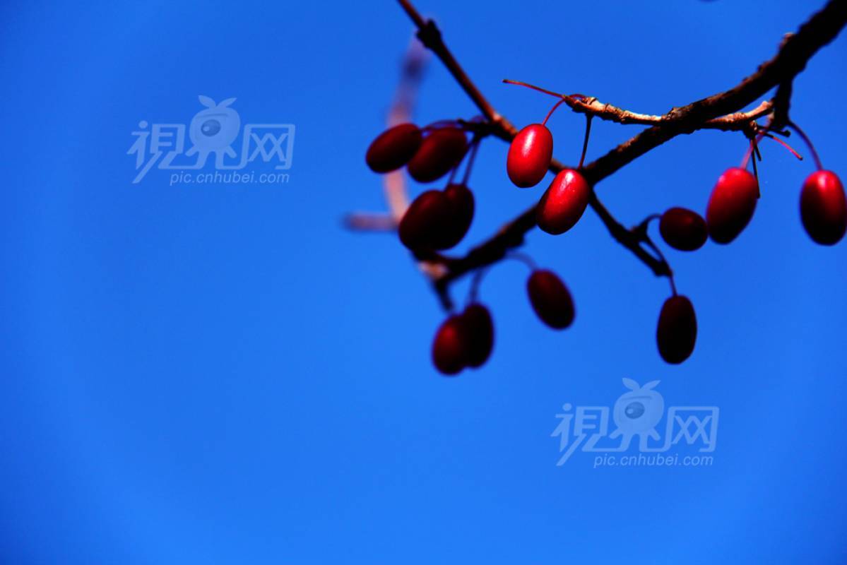 263479