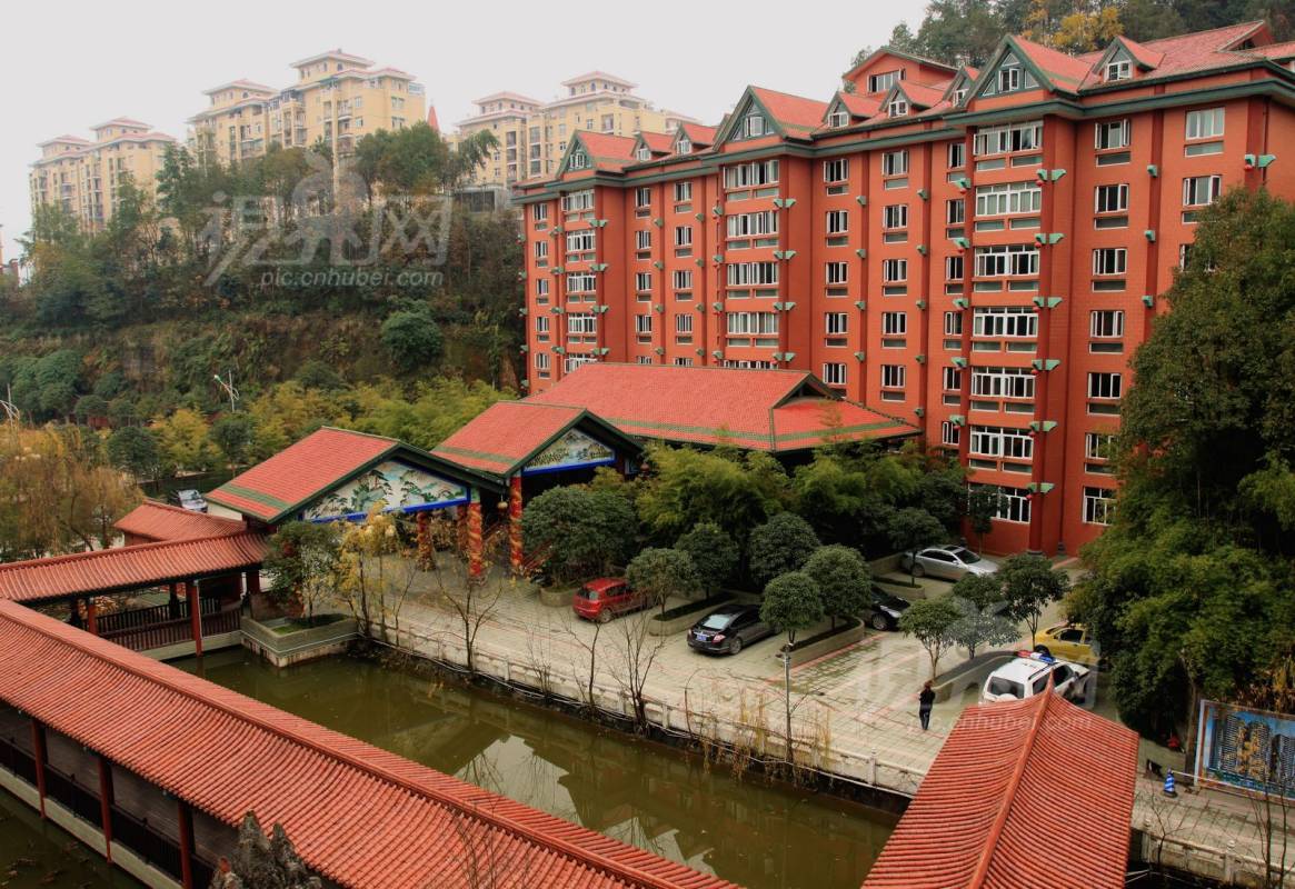 265729