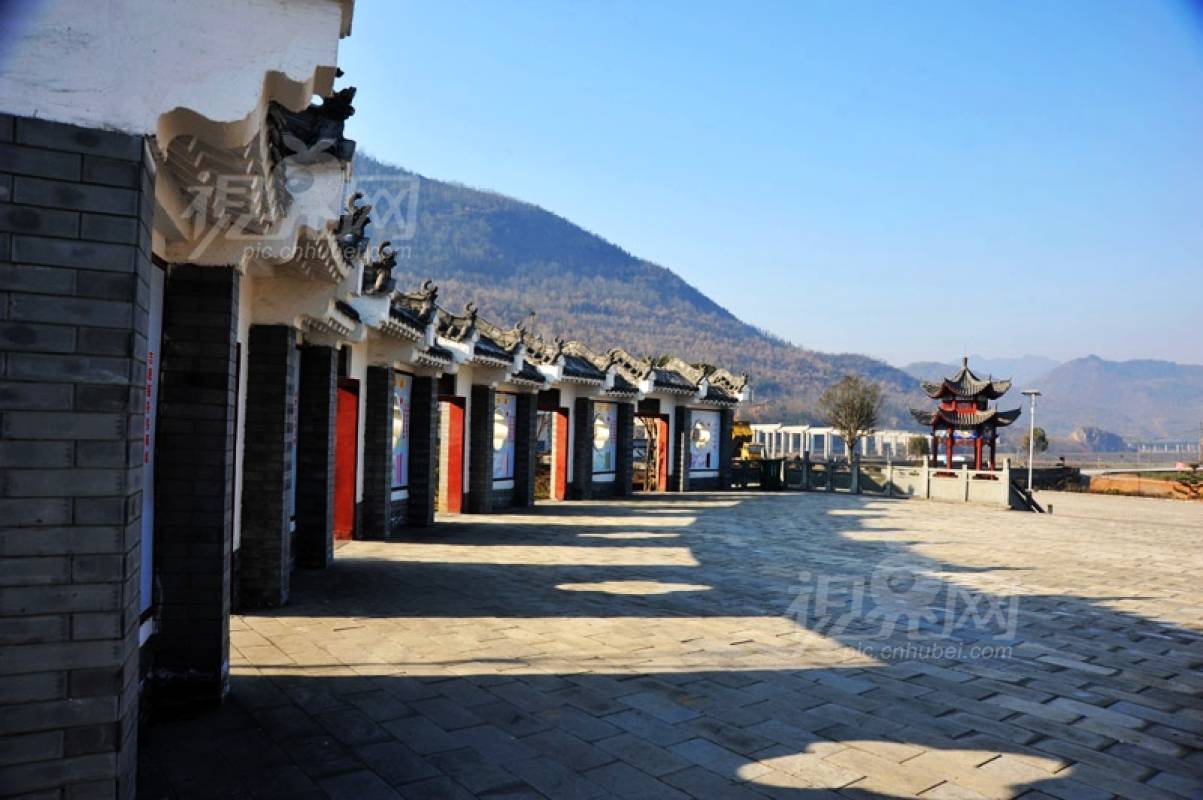 269139