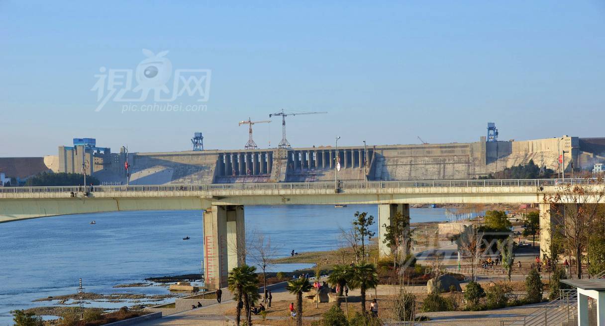 269302