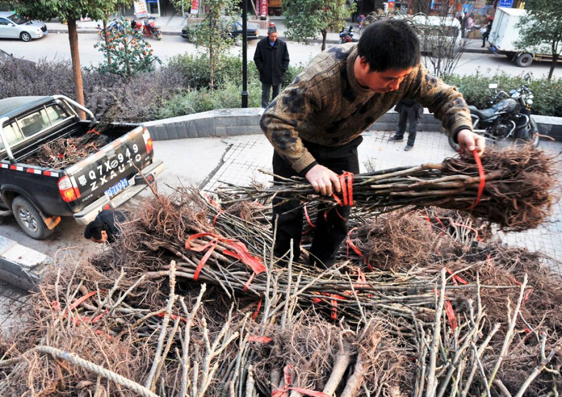 270918