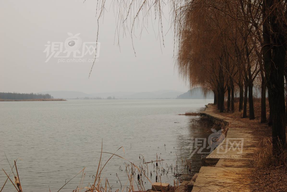 277715