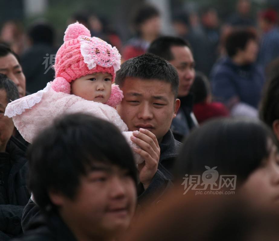 278276