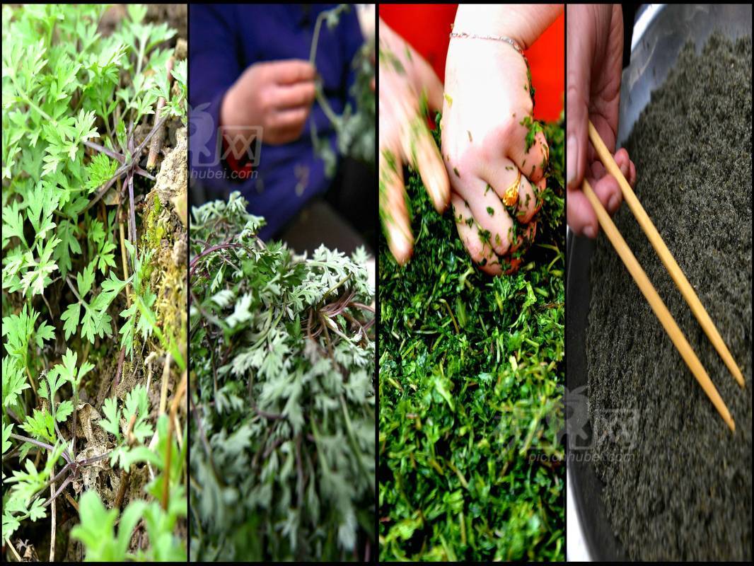279176