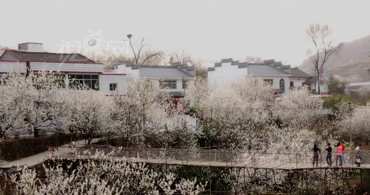 283531