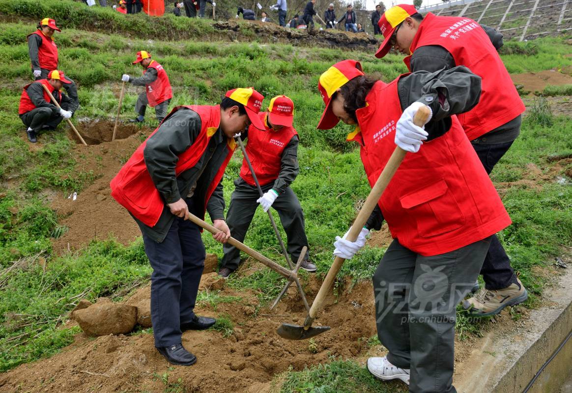 283558
