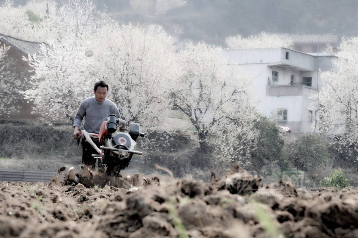 283729