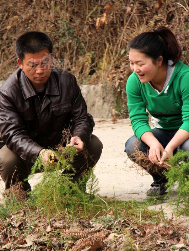 284185