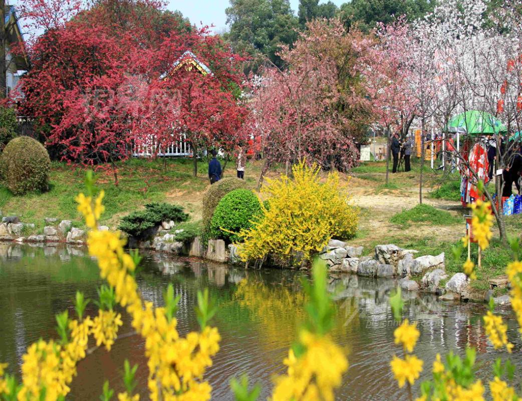 284226