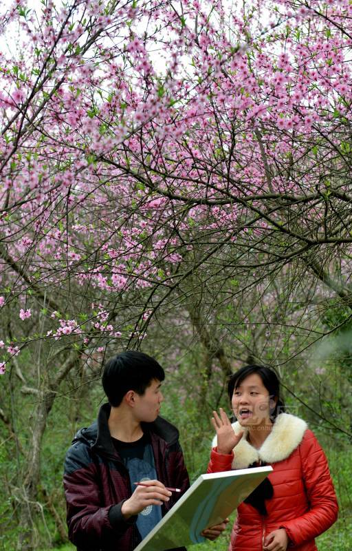 284576