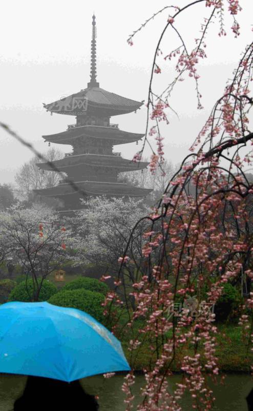284746