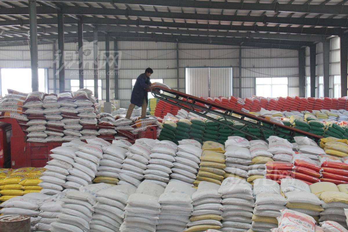 284929
