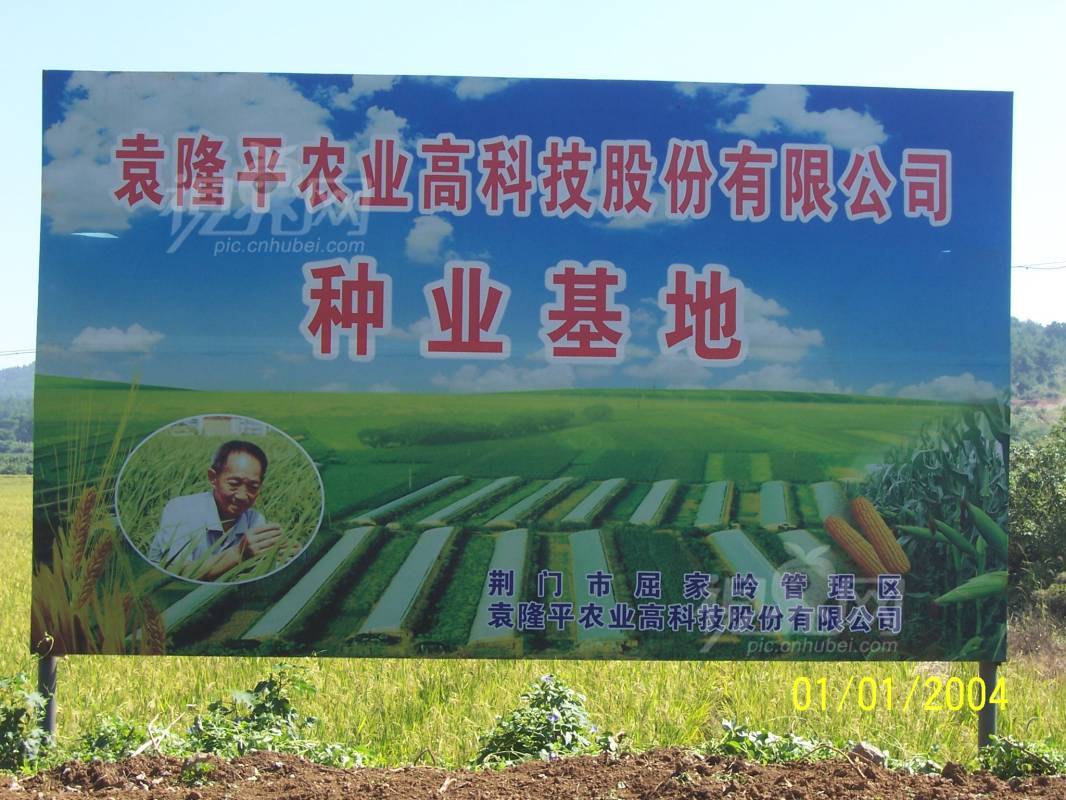 285828