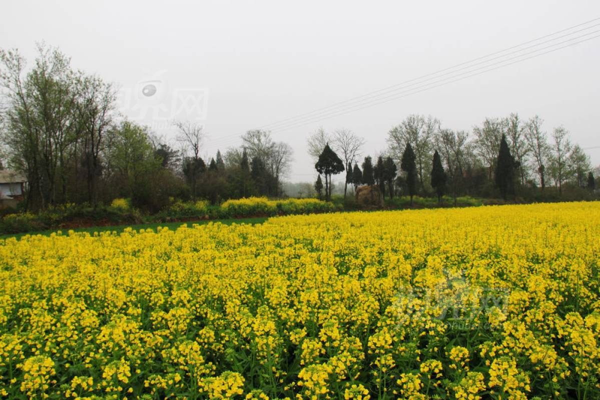 287400