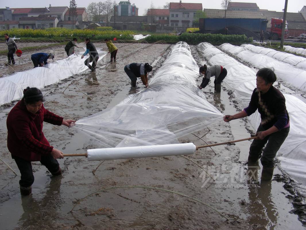 287987