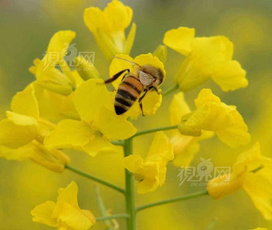 288658