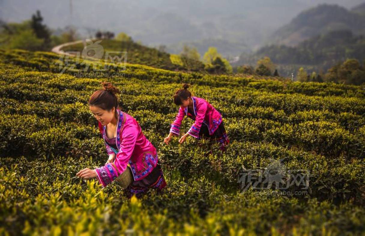 289619