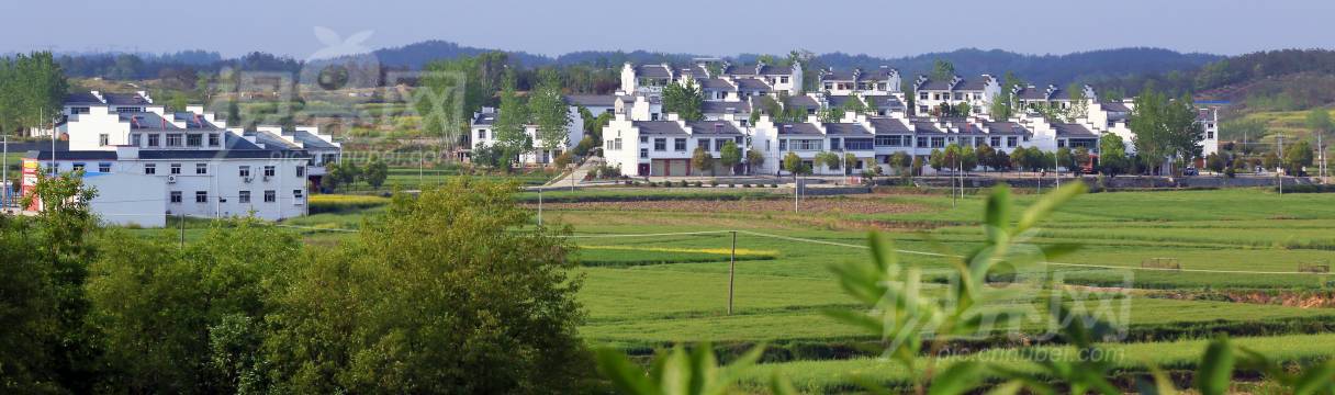 292008