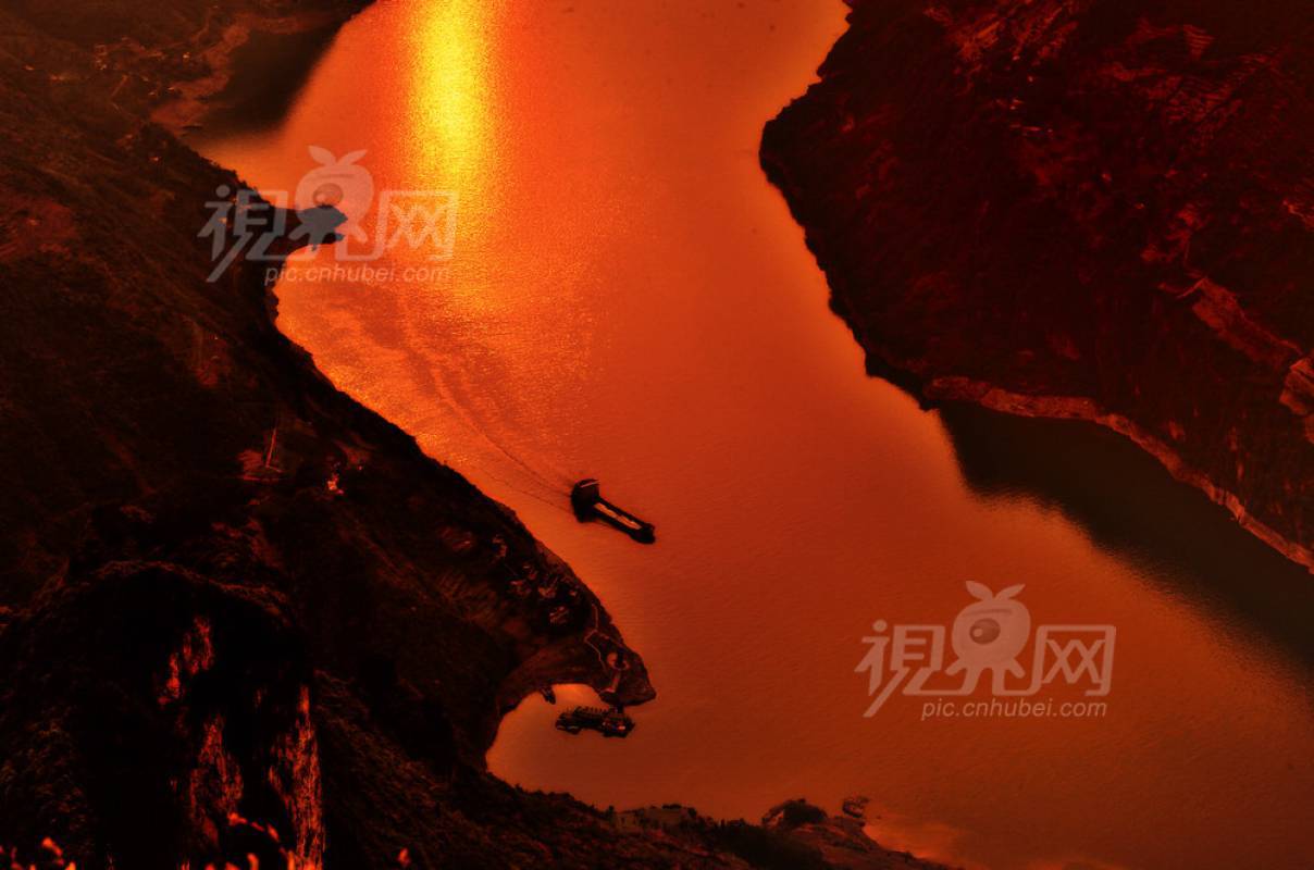292033