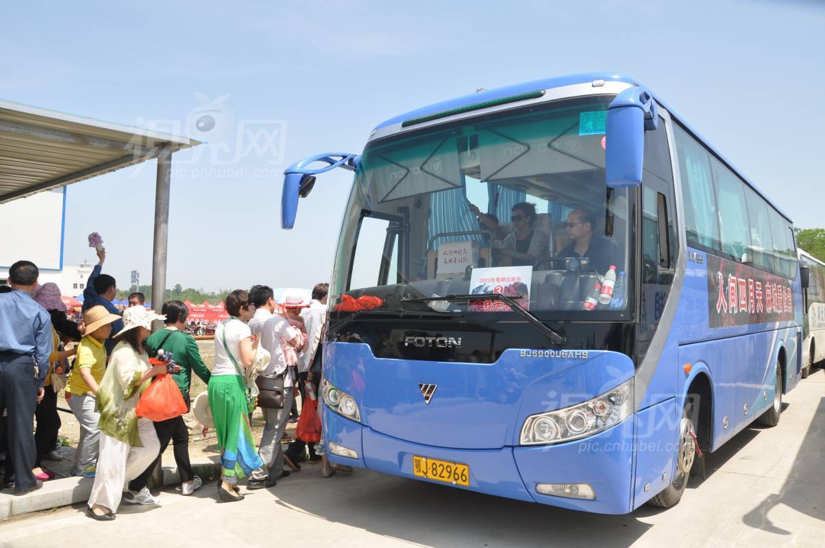 296462