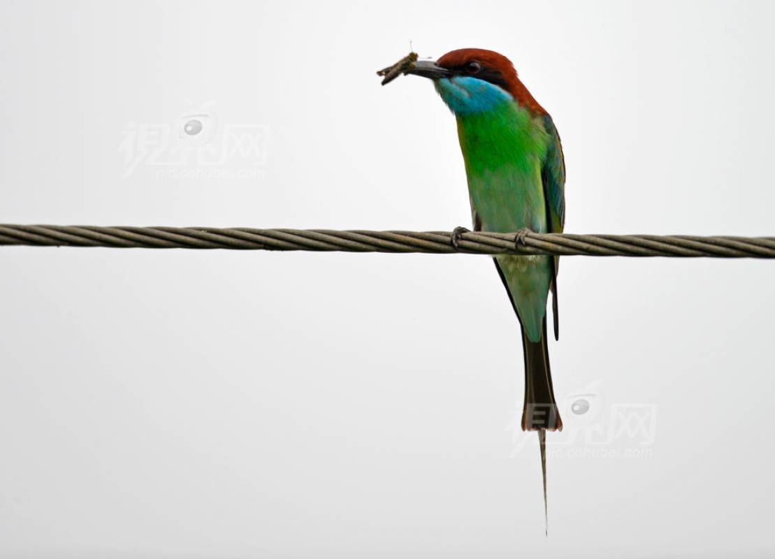 305198