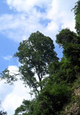 （天下湖北美）深山峡谷美如画