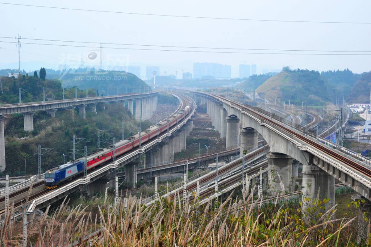 323564