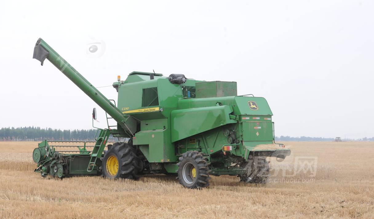 495023