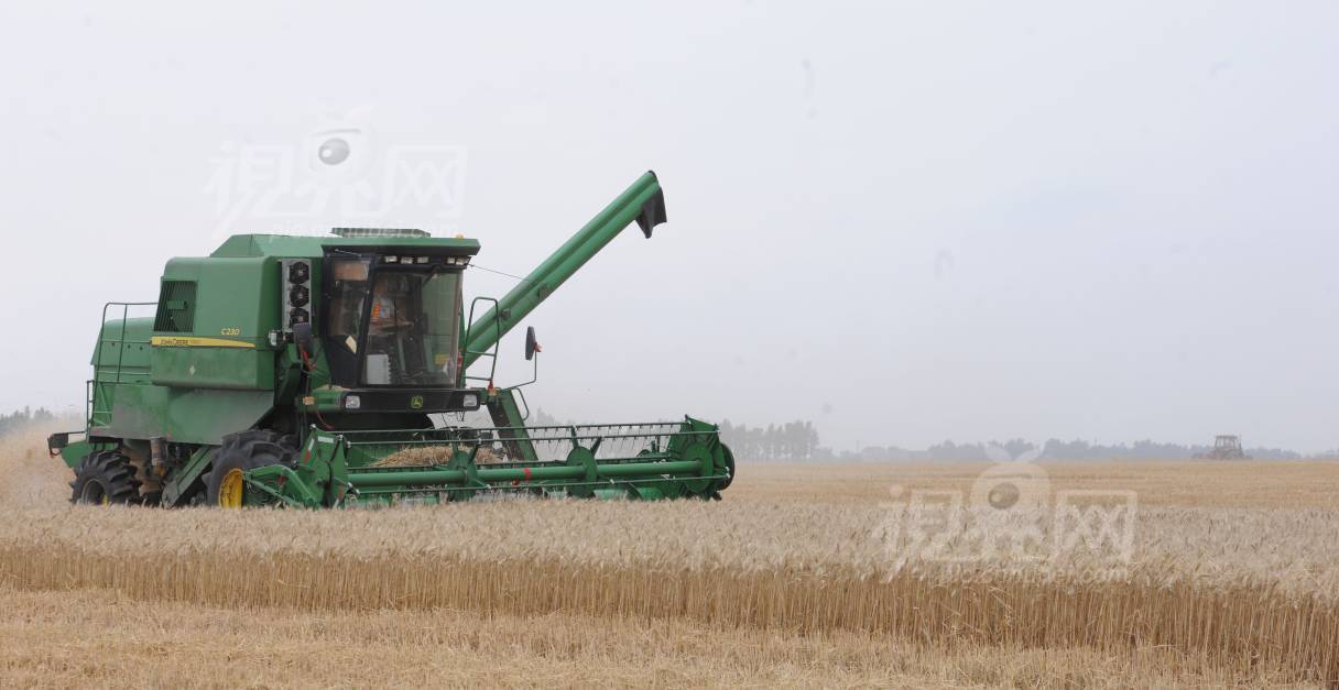 495025