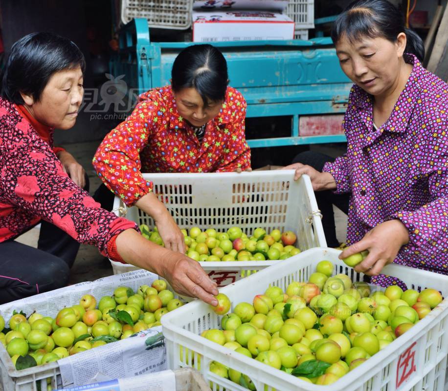 495166