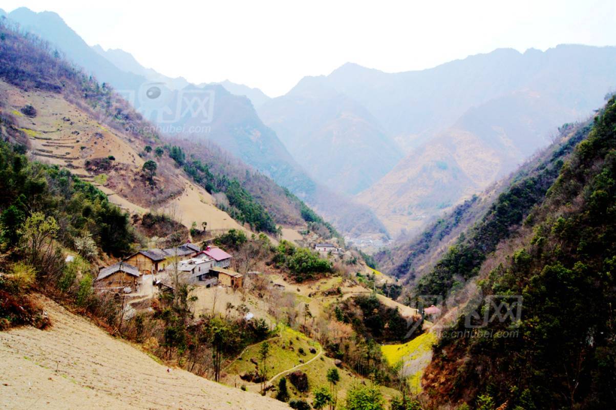 498545