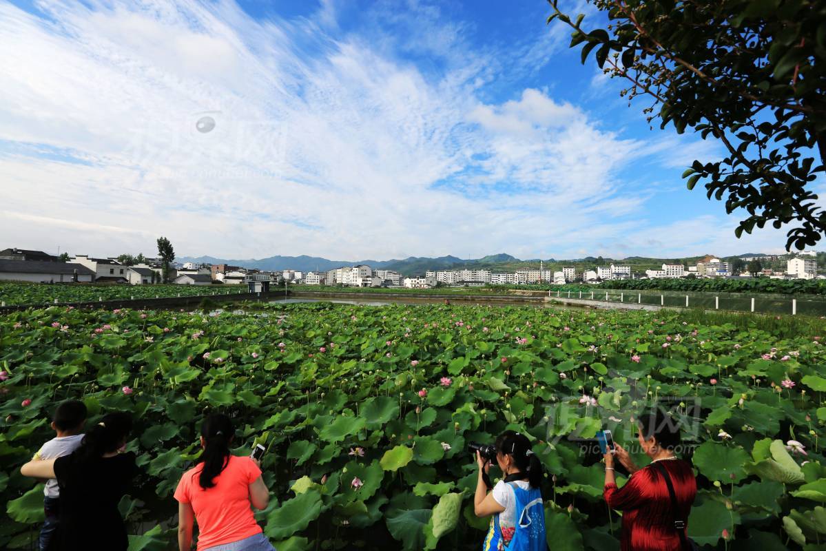 502264